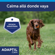 Adaptil Calm - Anti-stress per i cani - Paure, rumori forti, di apprendimento, di approvazione - Collare M/L per medie e cani di taglia grande