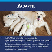 Adaptil Calm - Anti-stress per i cani - Paure, rumori forti, di apprendimento, di approvazione - Collare M/L per medie e cani di taglia grande