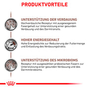 Royal Canin Veterinary Gastrointestinal | Confezione Doppia | 2 x 12 x 85 g | Cibo umido per gatti adulti | Pezzi fini in salsa | Per i disturbi dell'assorbimento intestinale