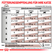 Royal Canin Veterinary Gastrointestinal | Confezione Doppia | 2 x 12 x 85 g | Cibo umido per gatti adulti | Pezzi fini in salsa | Per i disturbi dell'assorbimento intestinale